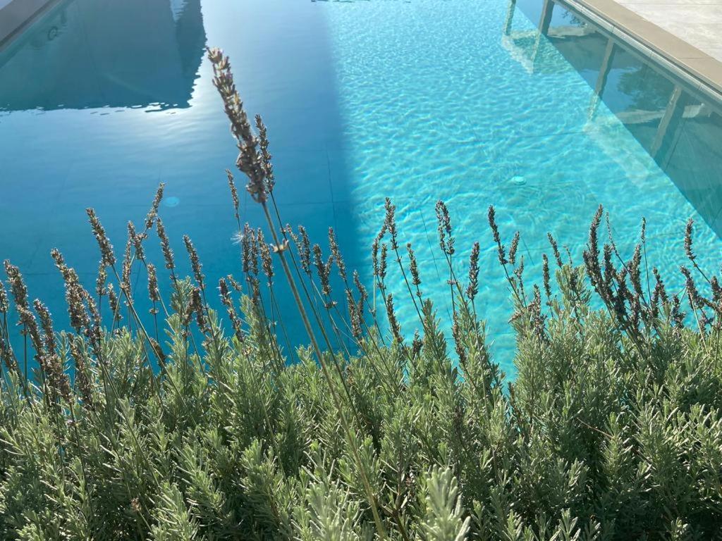 Rosemarine Villas Durrës Exteriér fotografie