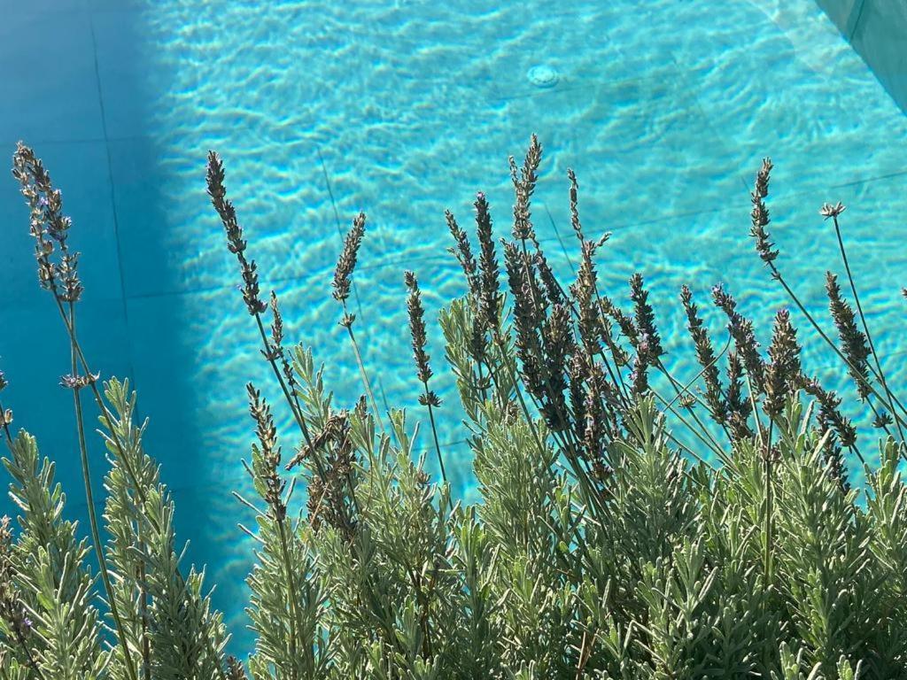 Rosemarine Villas Durrës Exteriér fotografie